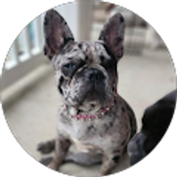 Profile photo of Amanda DeVary