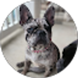 Profile photo of Amanda DeVary