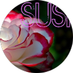 Profile photo of maria cuaxil