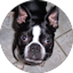 Profile photo of DIANA HONAKER