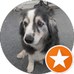 Profile photo of Topaz Post