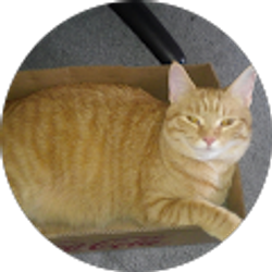 Profile photo of Candy Hutchison