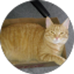 Profile photo of Candy Hutchison