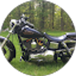 Profile photo of Yeager dog