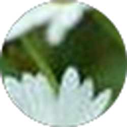 Profile photo of Leigh Churchill