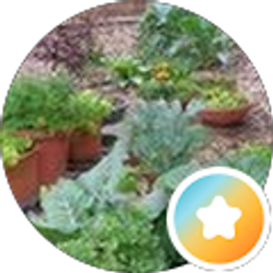 Profile photo of Mary Ann