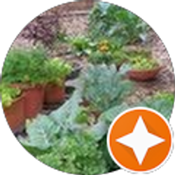 Profile photo of Mary Ann