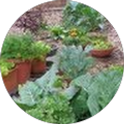 Profile photo of Mary Ann