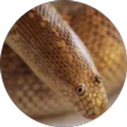 Profile photo of the person