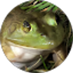 Profile photo of Cameron Falkingham