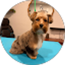 Profile photo of MotionToSlay