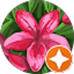 Profile photo of vero salcedo