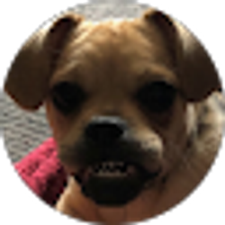 Profile photo of Renee Rossi