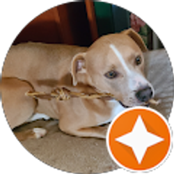 Profile photo of Teri Thomas