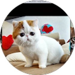 Profile photo of Tammy Paripunyo