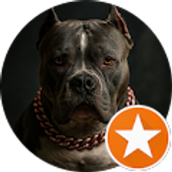 Profile photo of Josh Rotthoff