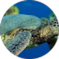 Profile photo of annie mccarty