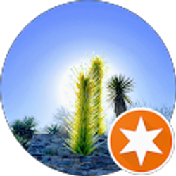 Profile photo of Johanna Blanco