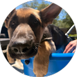 Profile photo of Katie Vaughan