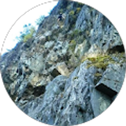 Profile photo of Travis Sodon