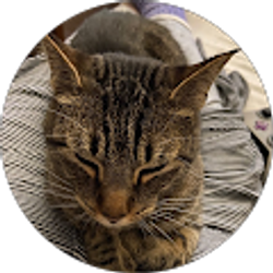 Profile photo of vicki althalabi