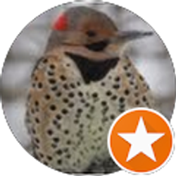 Profile photo of S O'K