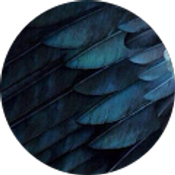 Profile photo of Cynthia Floyd