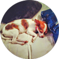 Profile photo of Colleen Weaver