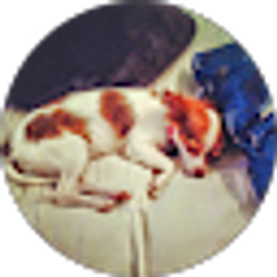 Profile photo of Colleen Weaver