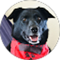 Profile photo of Karen Hunt