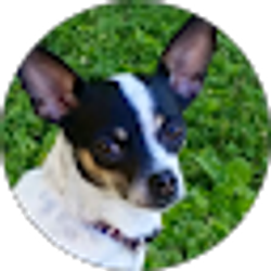 Profile photo of Betsy Rodriguez
