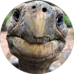 Profile photo of lee roski