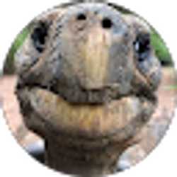 Profile photo of lee roski