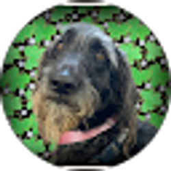 Profile photo of Mark Ashley