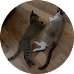 Profile photo of 4shapenotes4