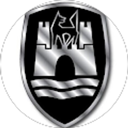 Profile photo of RACI Auto Parts
