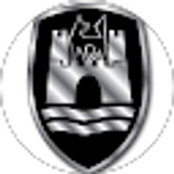 Profile photo of RACI Auto Parts
