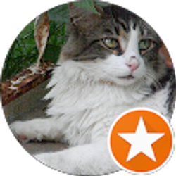 Profile photo of Q Thompson