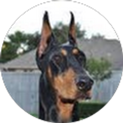 Profile photo of Dr Gene Gehrking