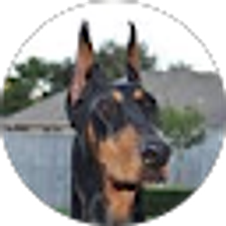 Profile photo of Dr Gene Gehrking