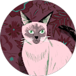 Profile photo of k virgot