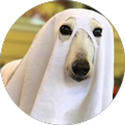 Profile photo of Son Of Porkins