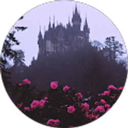 Profile photo of Kyra Wilson