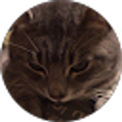Profile photo of Rayna