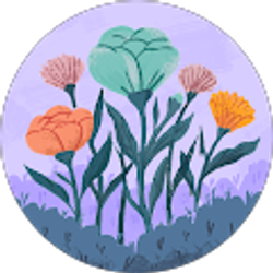 Profile photo of LIP Cammarata