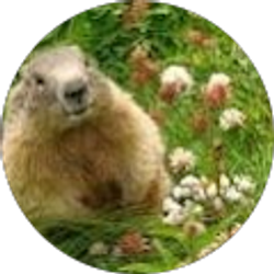 Profile photo of CAROLYN B