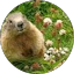 Profile photo of CAROLYN B