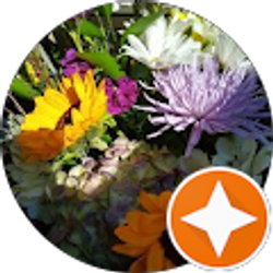 Profile photo of Christy Rolfe