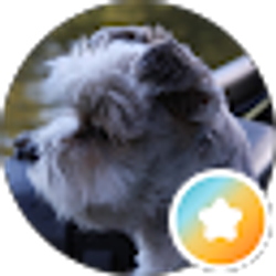 Profile photo of Jamie Ross