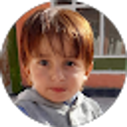 Profile photo of Zahidullah Adel